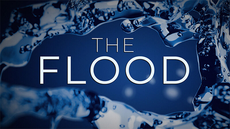 The Flood